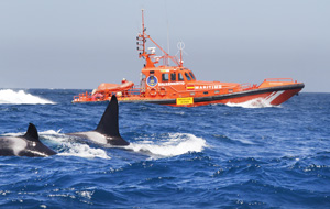 Salvamar Alkaid y Orcas