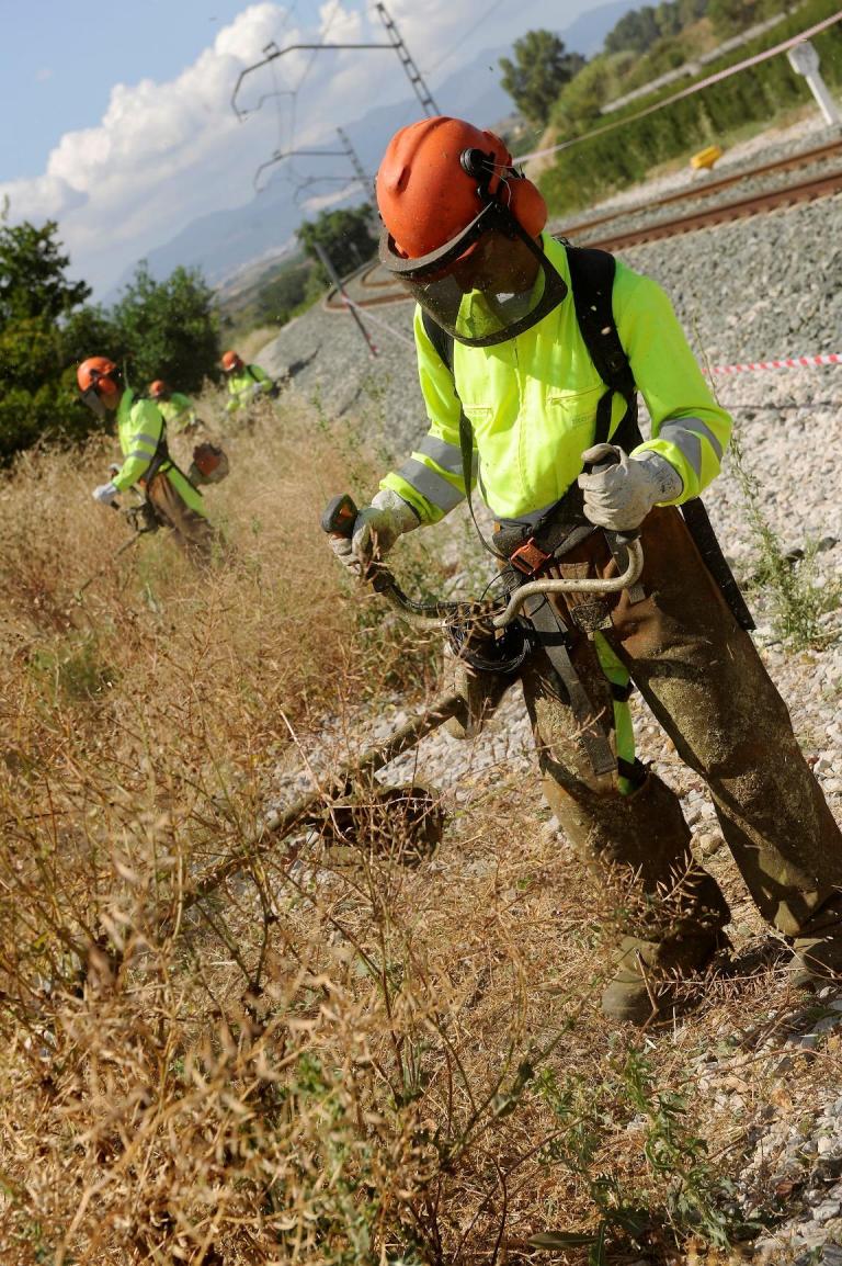 El Gobierno autoriza invertir 119 millones de euros en el control de la vegetación en líneas ferroviarias de ancho métrico y convencionales